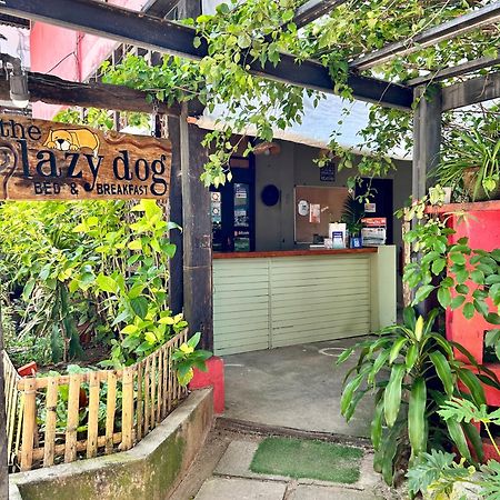 Lazy Dog Bed & Breakfast Balabag (Boracay) Exterior foto